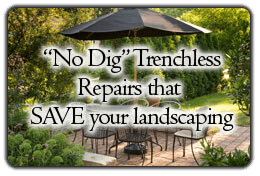 Save your landscaping